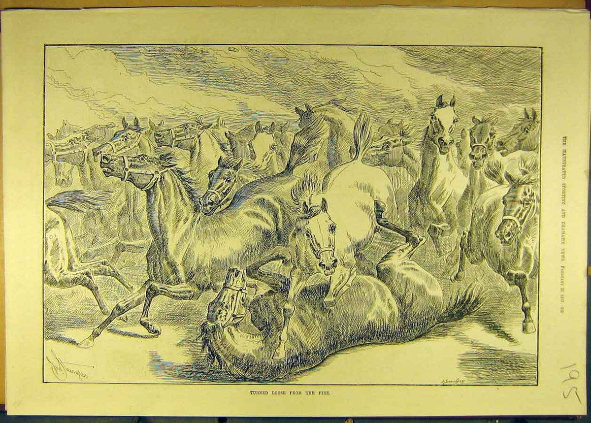 Original Old Antique Print 1887 Fire Horses Escape Sturgess Horse 19th