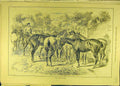 Original Old Antique Print 1884 Slave-Market Horses Horse-Fair Social History