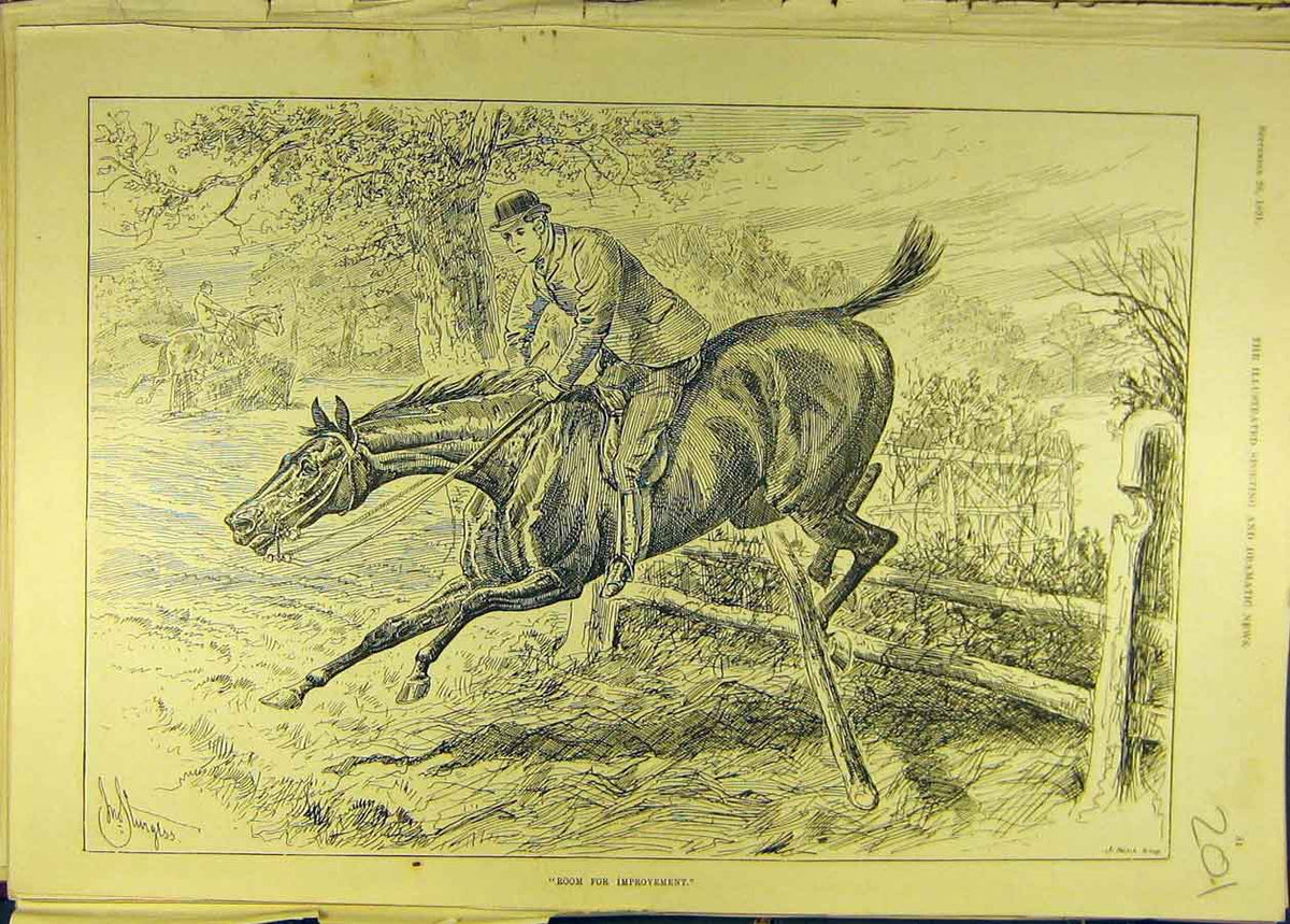 Original Old Antique Print 1891 Horse-Jump Fence Horses Rider Country Sturgess