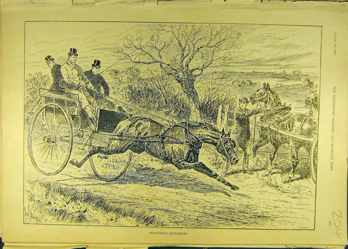 Original Old Antique Print 1893 Horse-Carriage Race Sturgess Horses Victorian