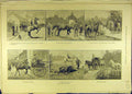 Original Old Antique Print 1889 Horse Purchase Carriage Knackers Squire Equine
