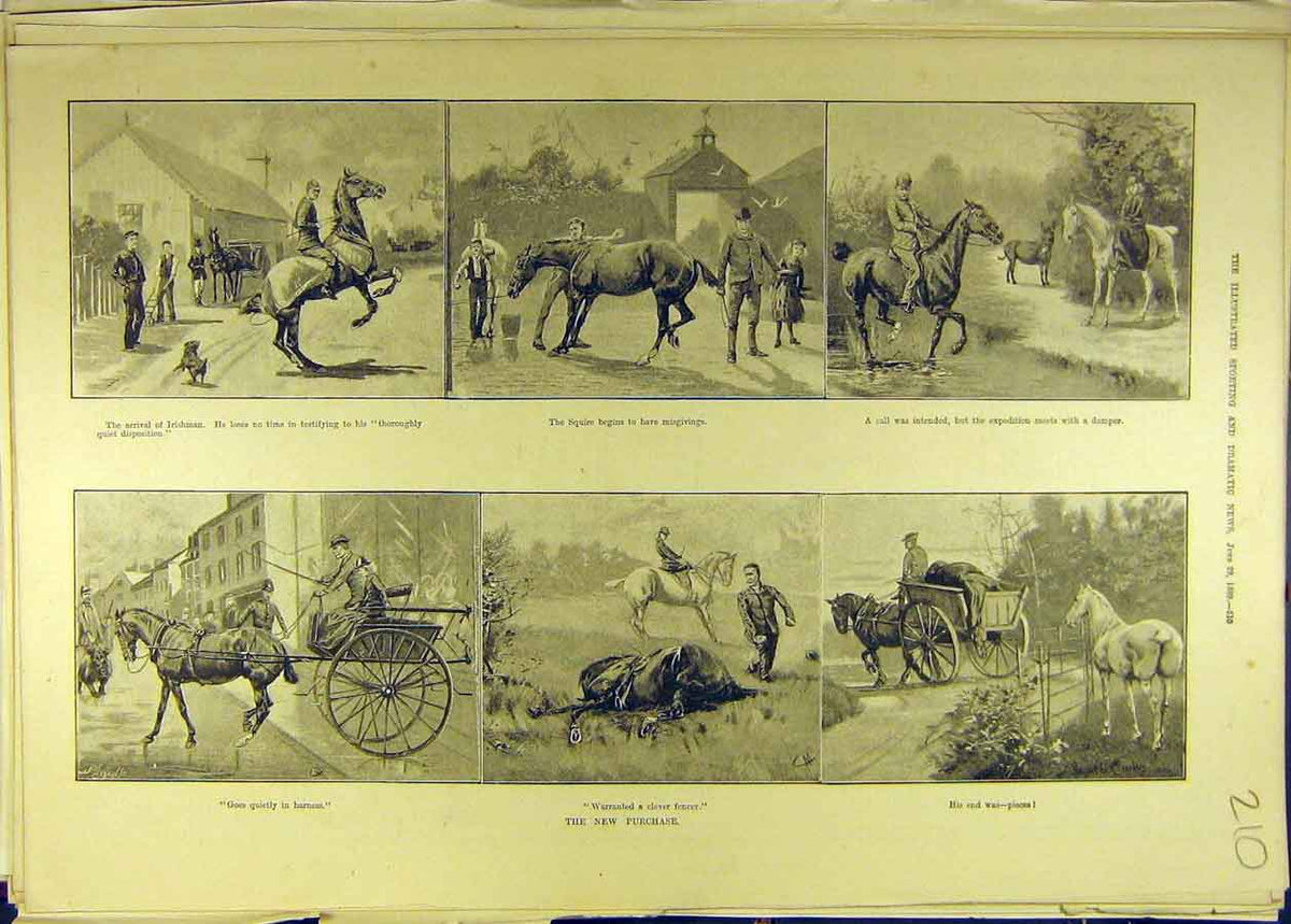 Original Old Antique Print 1889 Horse Purchase Carriage Knackers Squire Equine