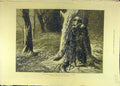 Original Old Antique Print 1873 Exile Siberia St. Petersburg Hicks Lady Forest