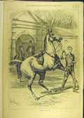 Original Old Antique Print 1880 Steady -Man Horse Sturgess 19th