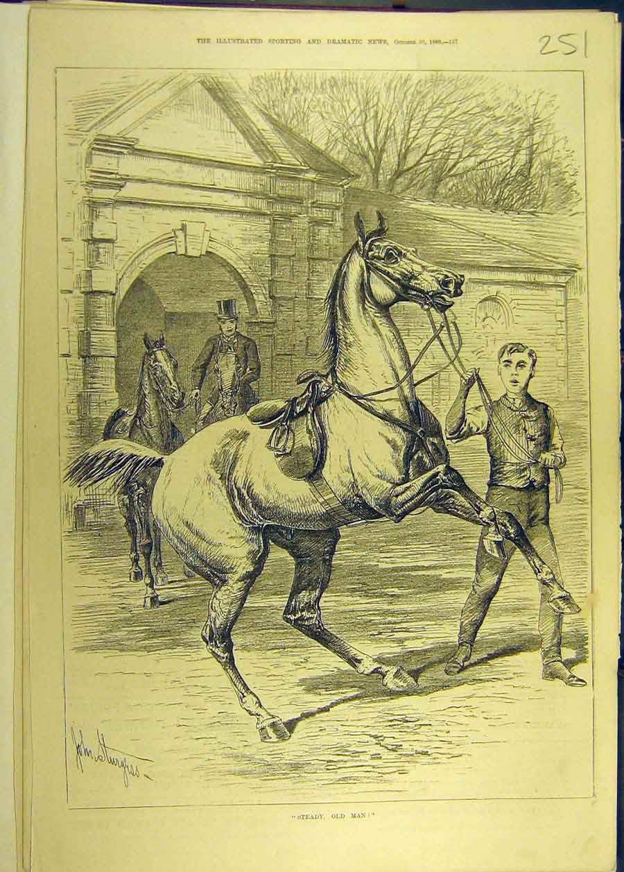 Original Old Antique Print 1880 Steady -Man Horse Sturgess 19th