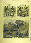 Original Old Antique Print 1873 Ashantee Sier Priest Magicians River Prah Assin