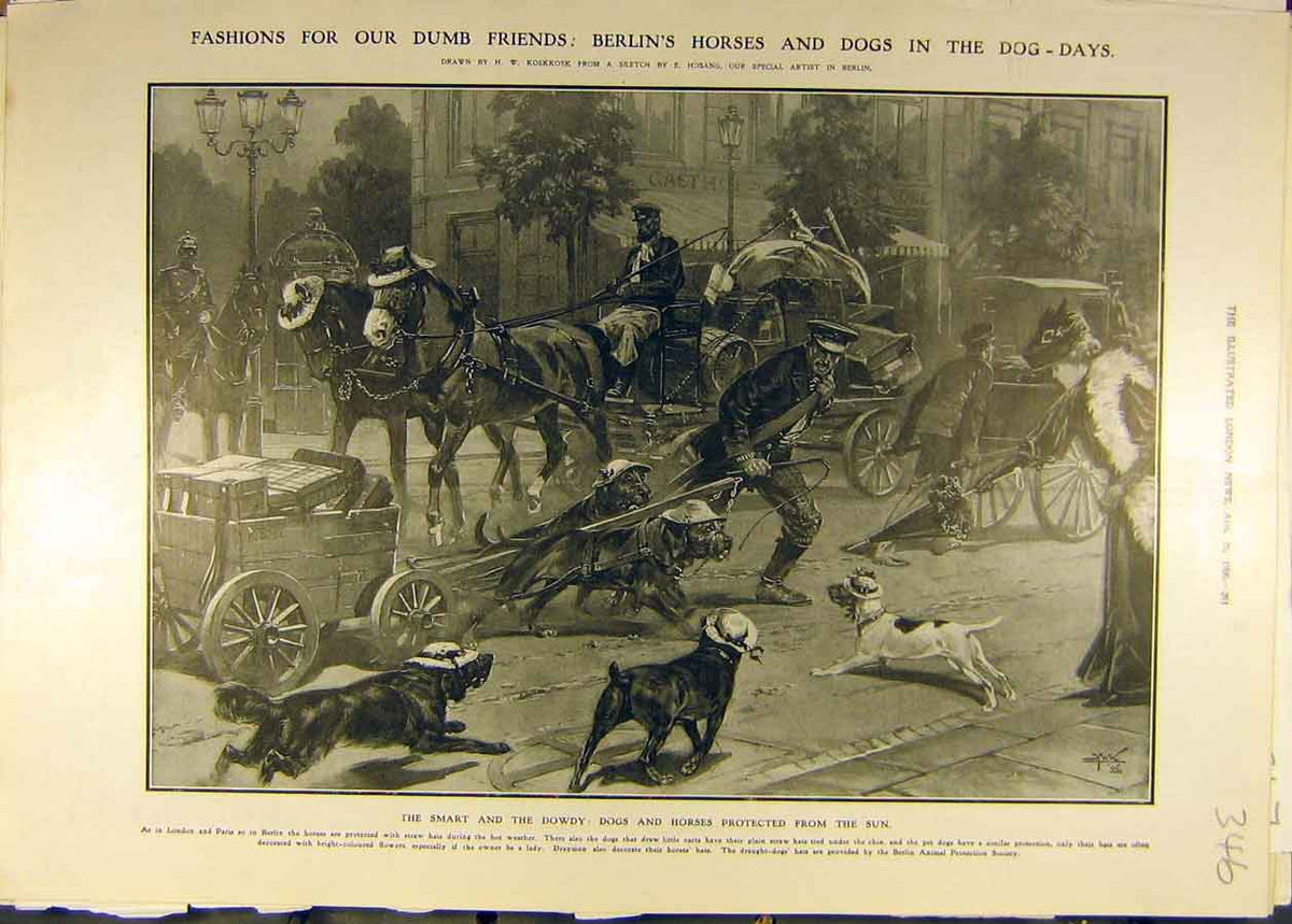 Original Old Antique Print 1906 Dogs Horses Sun Hats Fashion Protection 20th