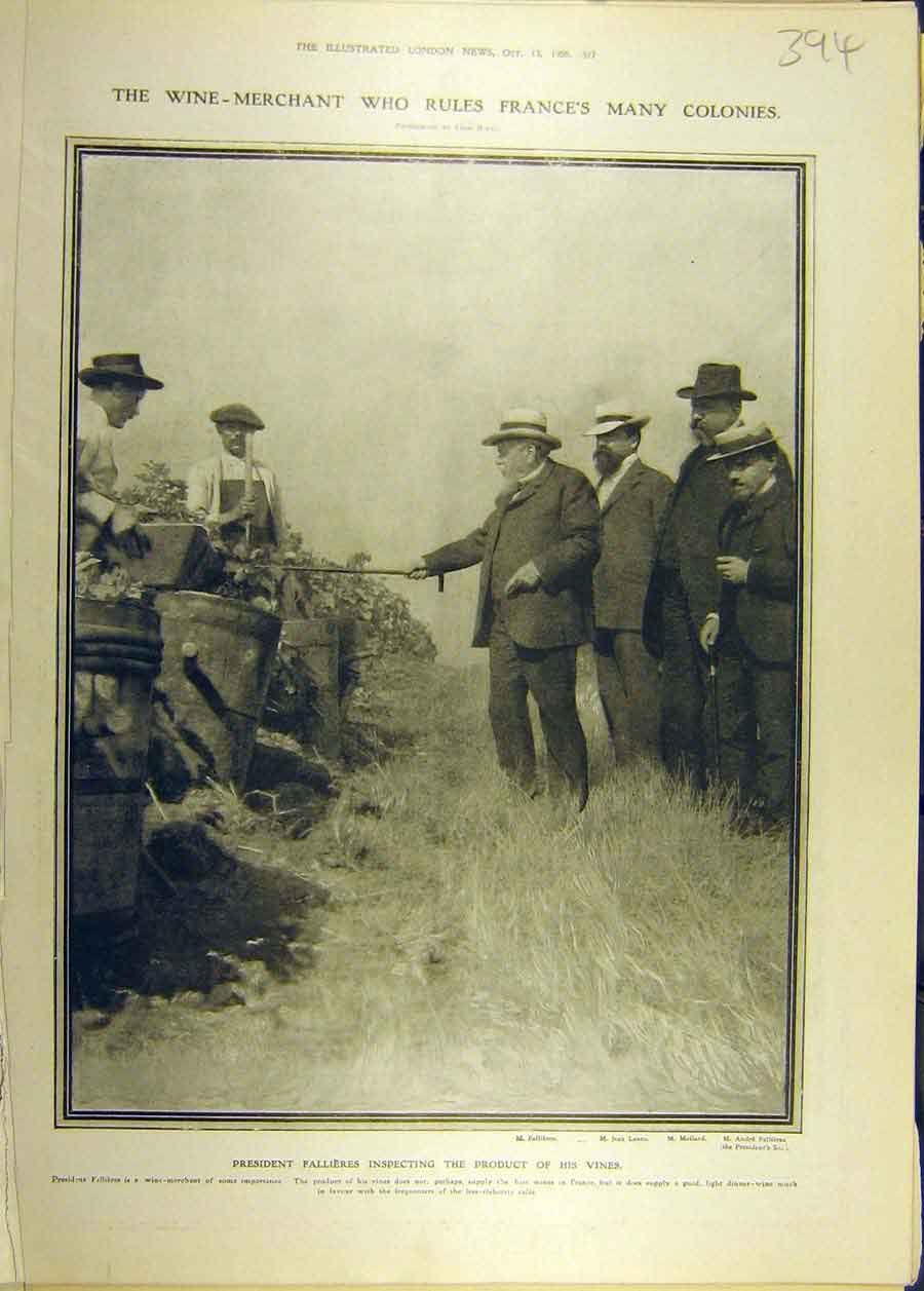 Original Old Antique Print 1906 President Fallieres Vines Grape Fields France