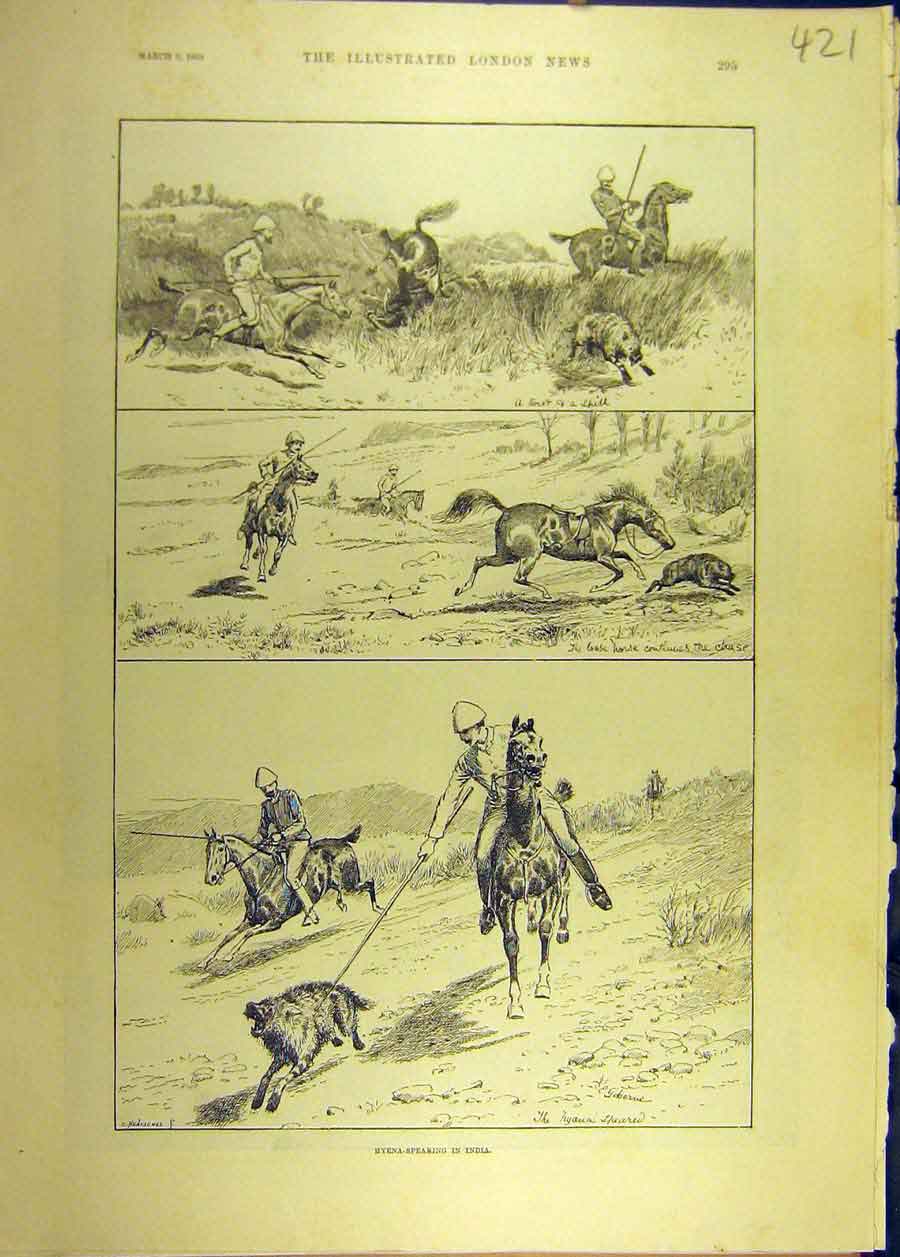 Original Old Antique Print 1889 Hyena Spearing India Hunt Hunting Indian 19th
