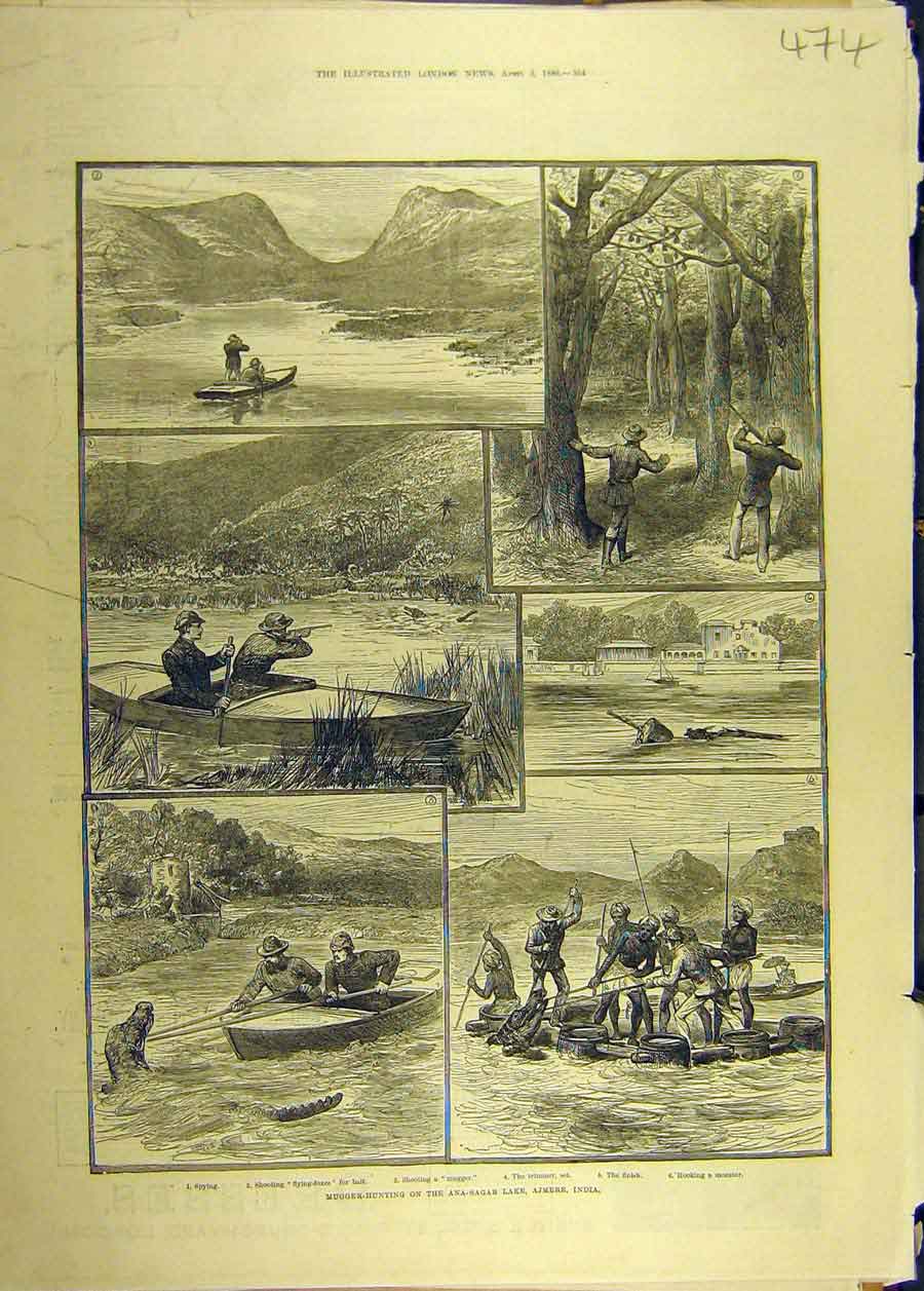 Original Old Antique Print 1886 Mugger-Hunting Ana-Sagar Lake Ajmere India 19th