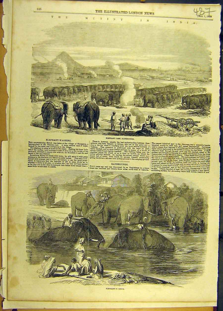 Original Old Antique Print 1858 Mutiny India Elephant-Washing Camp Raneegunge