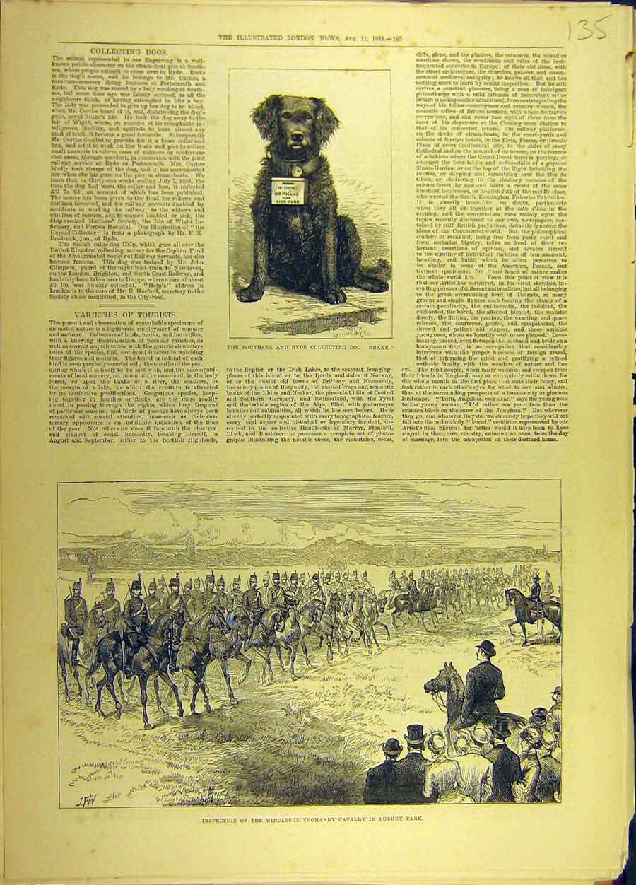 Original Old Antique Print 1883 Southsea Ryde Collecting-Dog Yeomanry Cavalry