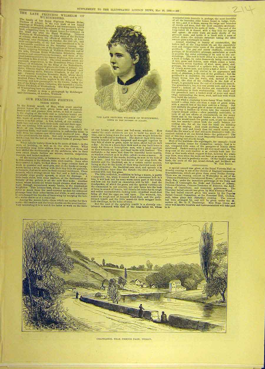 Original Old Antique Print 1882 Princess Wilhelm Wurtenberg Chapelizod Phoenix