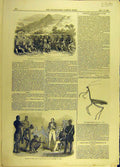 Original Old Antique Print Kaffir War Natal Giraffe Cricket Insect Zoolahs