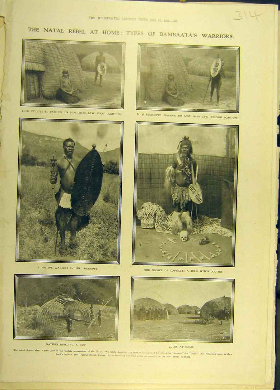 Original Old Antique Print 1906 Natal Bambaata Warrior Zulu Witch-Doctor 20th