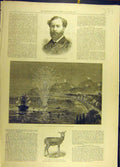 Old Antique Print 1882 Sleby Portrait Mentone Royal Antelope Pet Military 19th