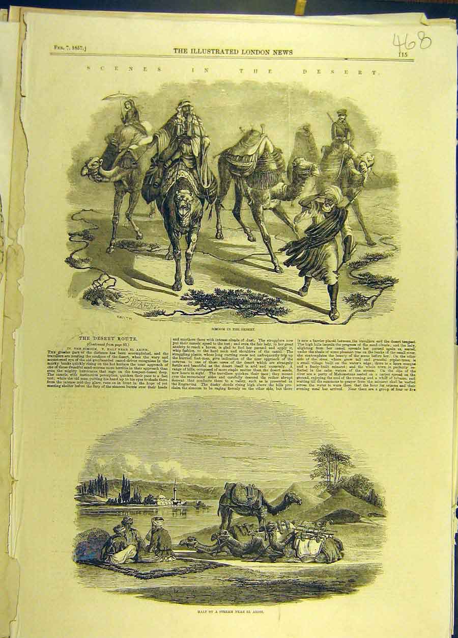 Original Old Antique Print 1857 Desert Simoon Route Camels Stream El-Arish 19th