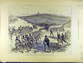 Original Old Antique Print 1888 Brighton Review Bevingdean Volunteer Review