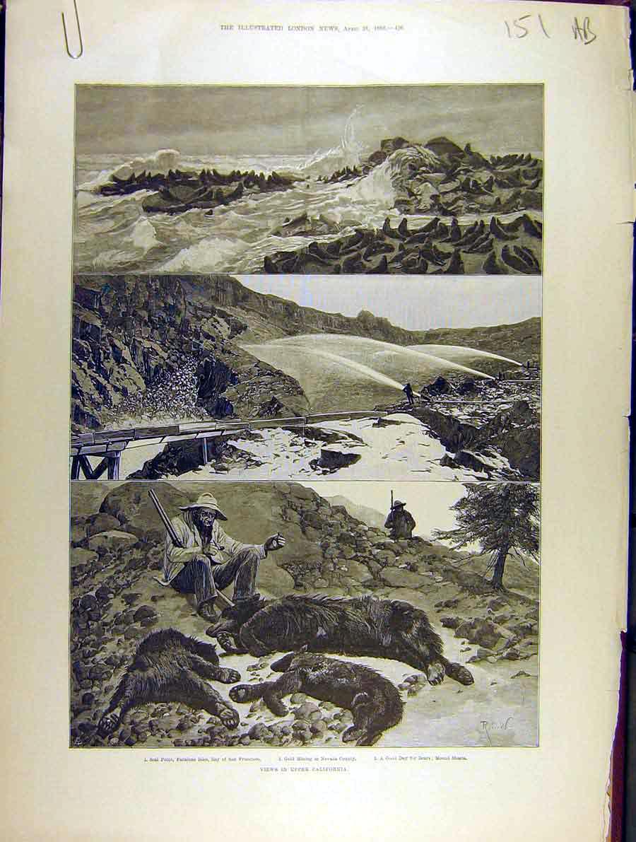Original Old Antique Print 1888 California Nevada Shasta Americabear Hunt 19th