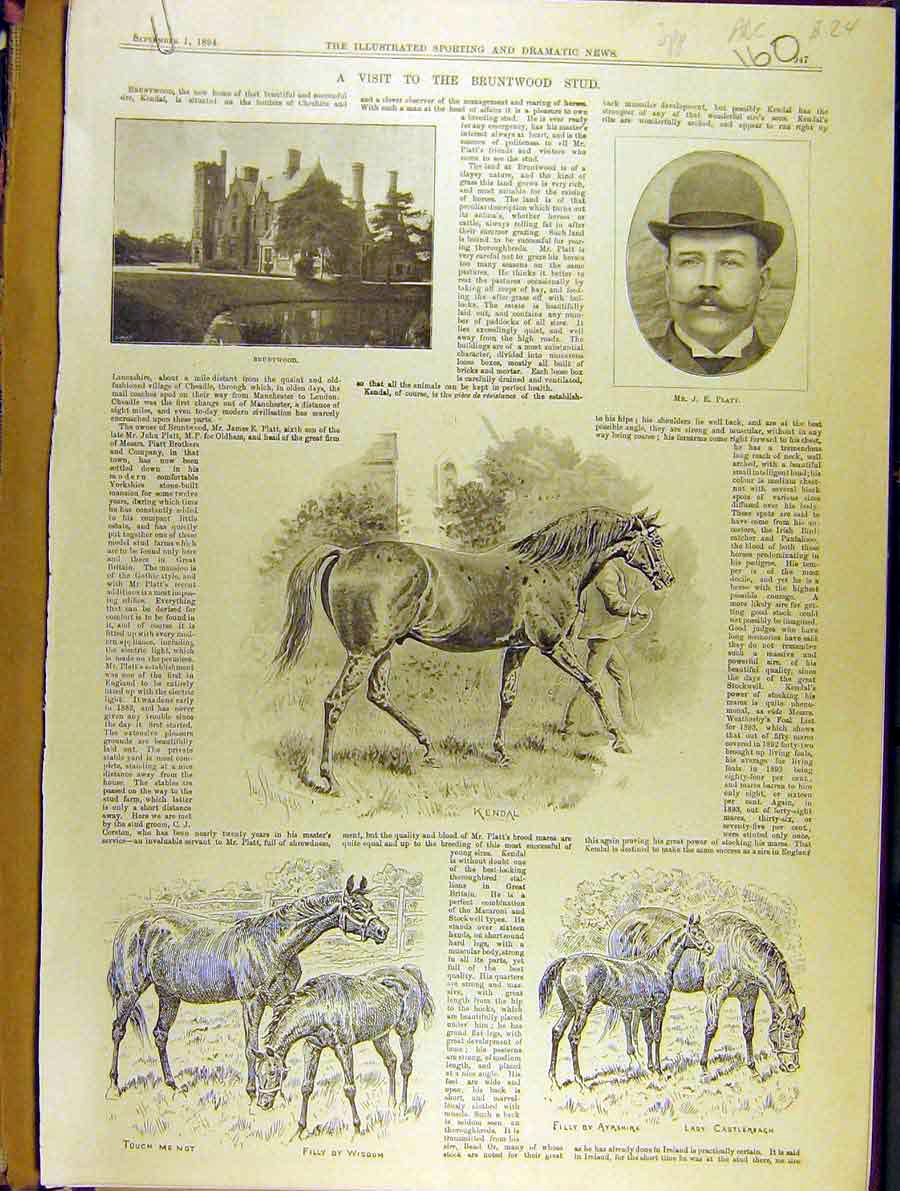 Original Old Antique Print 1894 Bruntwood Stud Horses Platt Corston Victorian