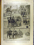 Original Old Antique Print 1906 Camel Transport Prince India Army Rawal Pindi