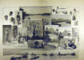 Original Old Antique Print 1887 Sketches River Congo View Scene Native Ward