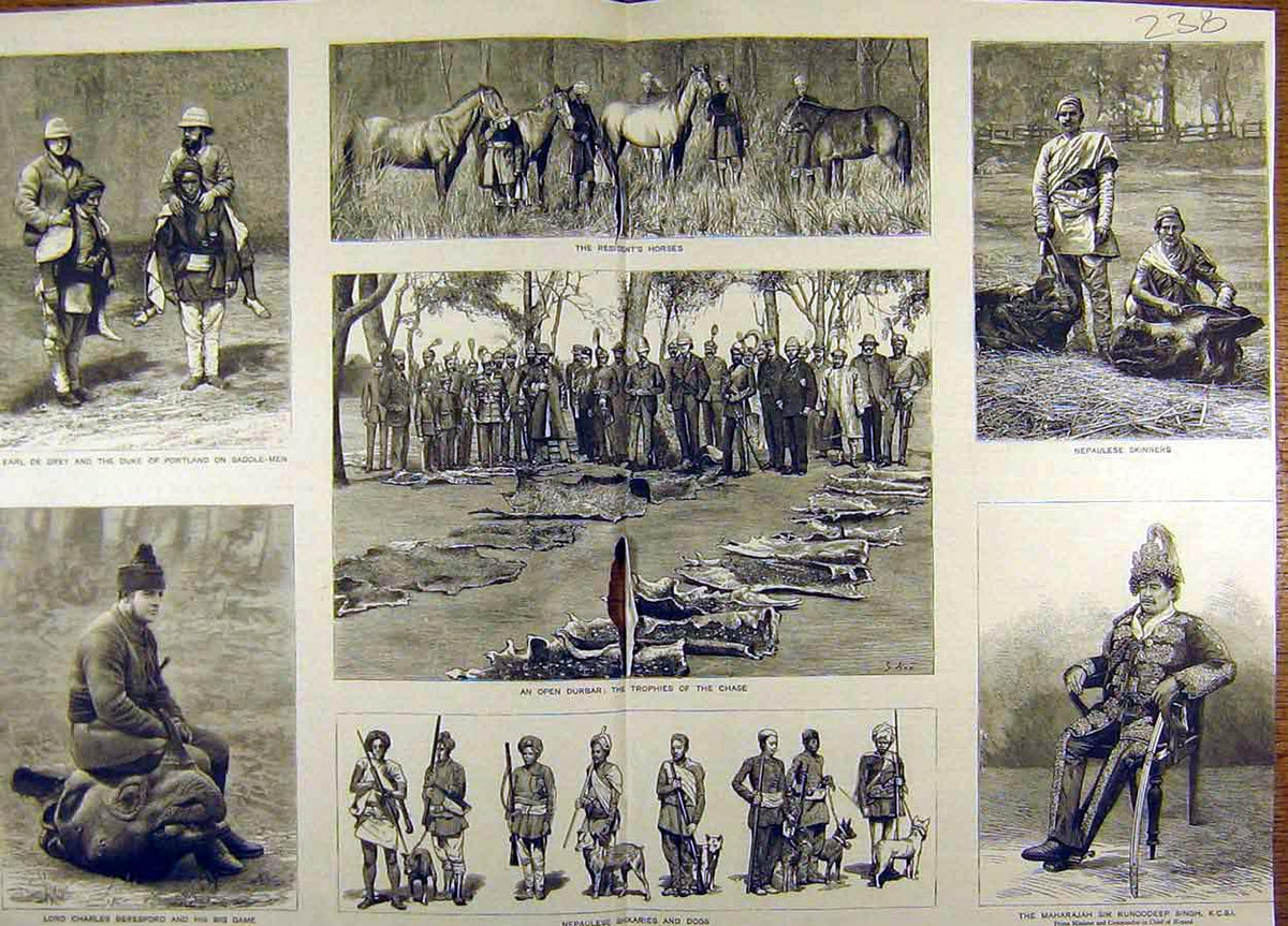 Original Old Antique Print 1884 Hunting Nepaul Duke Portland Wenlock Beresford