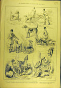 Original Old Antique Print 1884 Hound Show Peterborough Dogs Sport Victorian