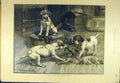 Original Old Antique Print 1885 Gloves Terriers Puppies Dogs Dadd Sport 19th