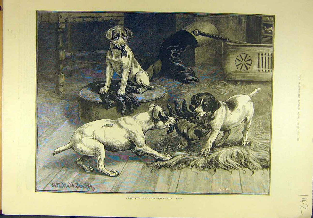 Original Old Antique Print 1885 Gloves Terriers Puppies Dogs Dadd Sport 19th
