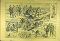 Original Old Antique Print 1887 Wild-Goose Shooting Bog-Allen Sport Bird 19th
