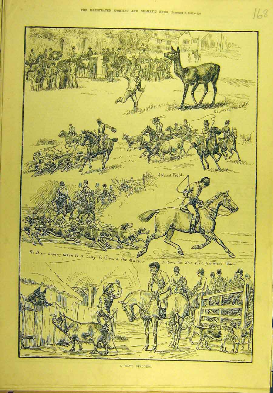 Original Old Antique Print 1883 Stag-Hunting Stagging Animal Sport Victorian