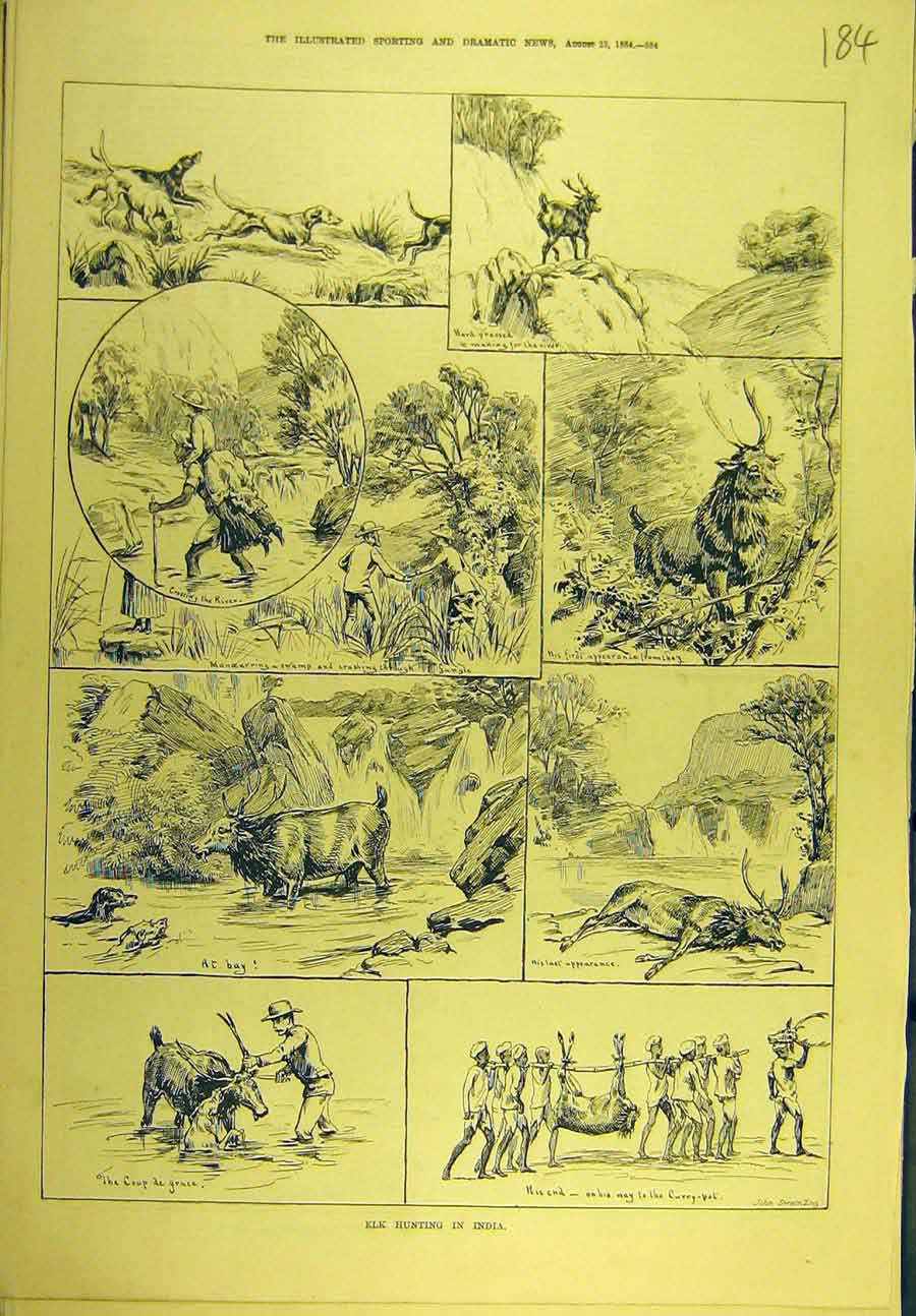 Original Old Antique Print 1884 Elk Hunting India Shooting Animal Sport 19th