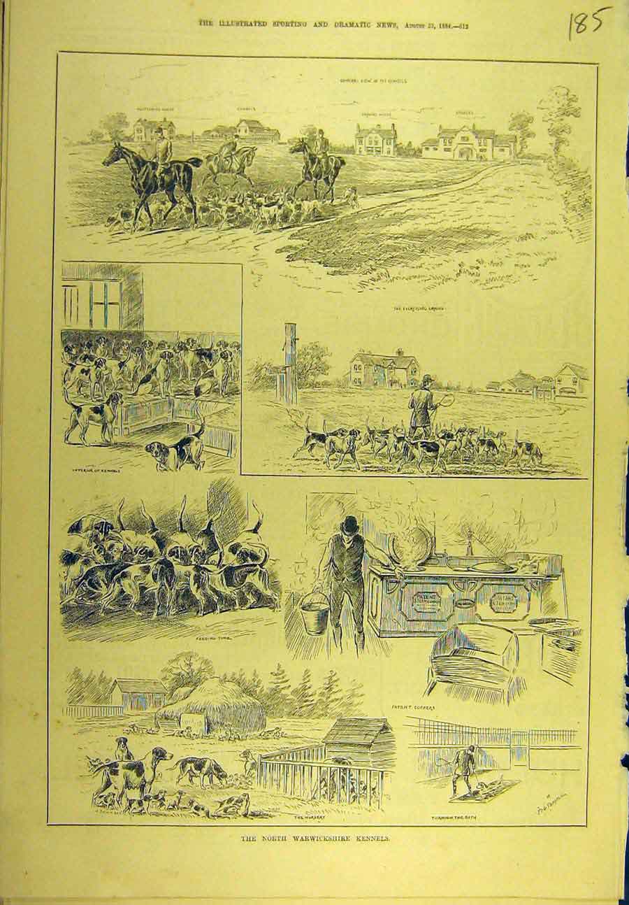Original Old Antique Print 1884 North-Warwickshire Kennels Hounds Dogs Sport