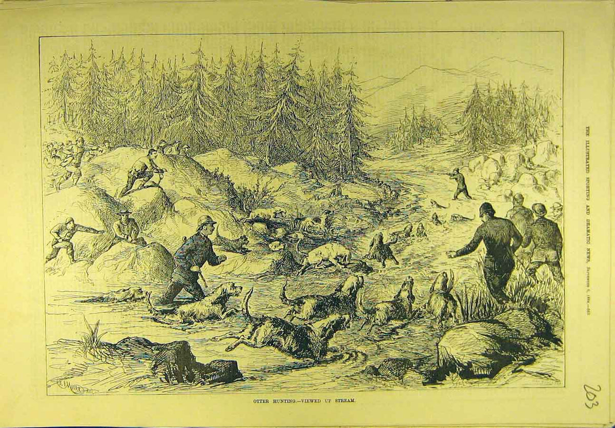 Original Old Antique Print 1884 Otter-Hunting Hounds Shooting Hunt Stream 19th
