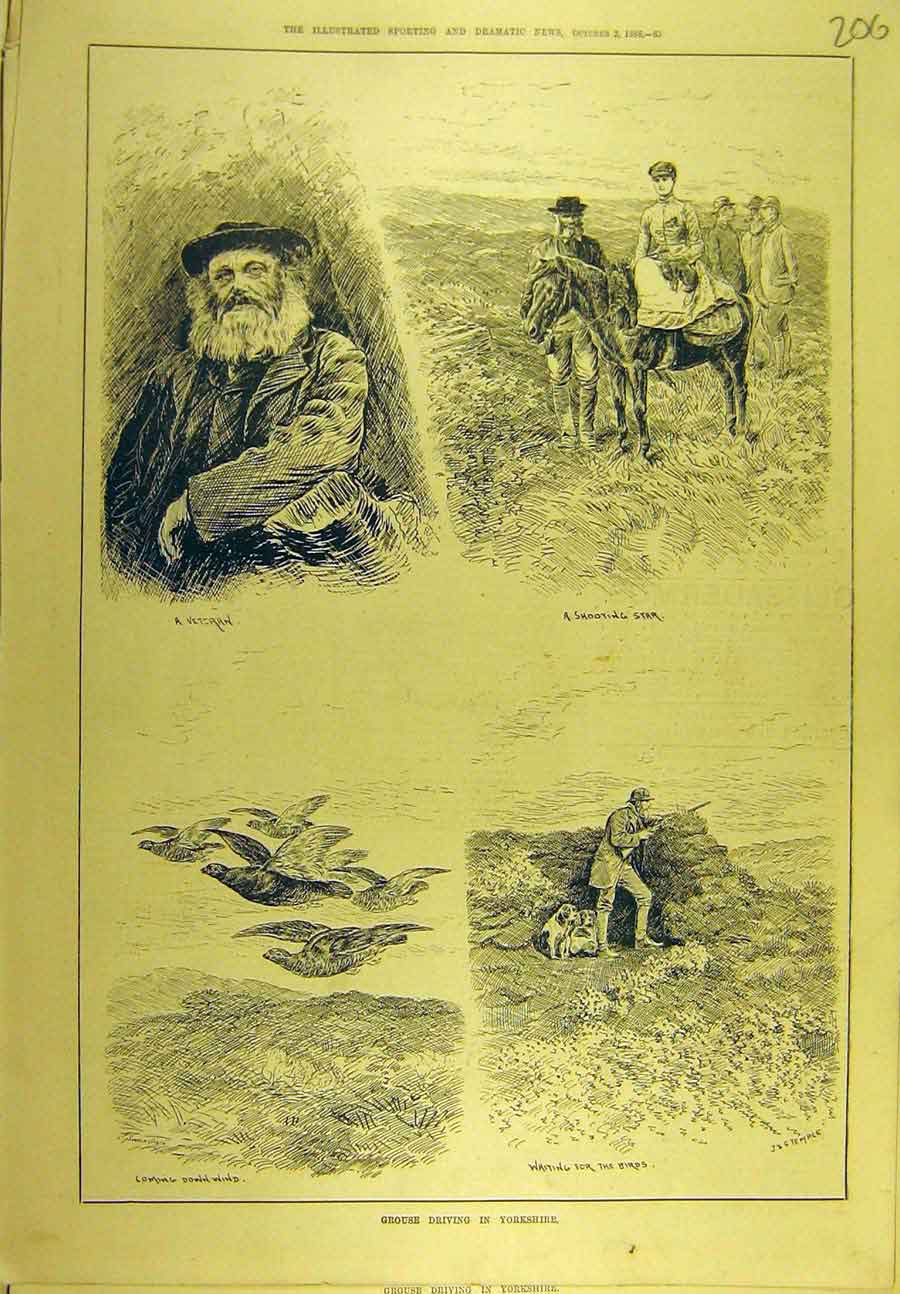 Original Old Antique Print 1886 Grouse Driving Yorkshire Veteran Game-Bird Sport