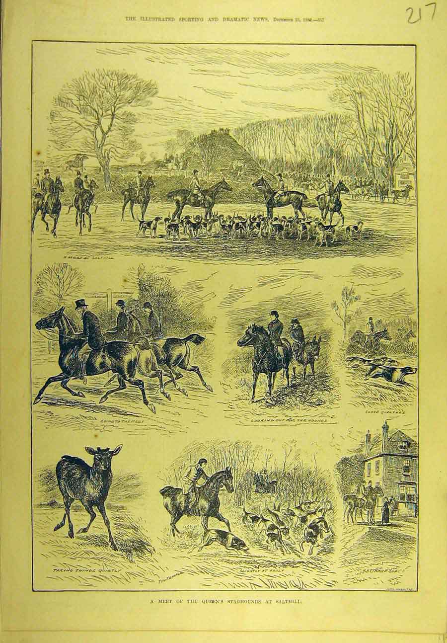 Original Old Antique Print 1882 Queen'S Staghounds Salthill Hunting Sport 19th