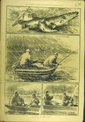 Original Old Antique Print 1881 C-Day Virginia Water Fish Pike Perch Victorian