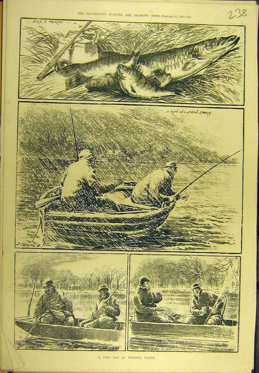 Original Old Antique Print 1881 C-Day Virginia Water Fish Pike Perch Victorian