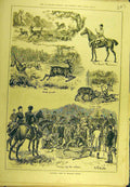 Original Old Antique Print 1882 Deer Windsor Forest Hunting Huntsman Sport 19th