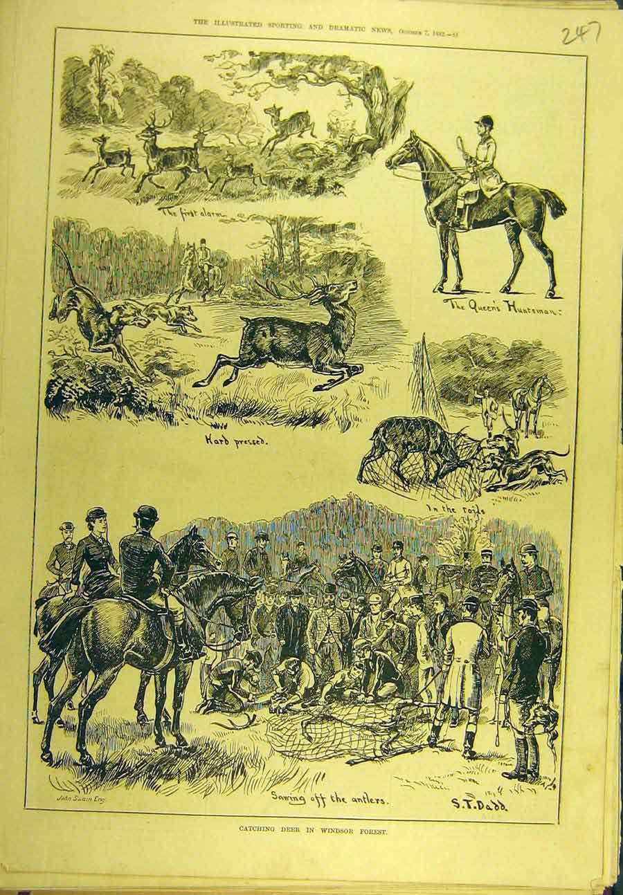 Original Old Antique Print 1882 Deer Windsor Forest Hunting Huntsman Sport 19th