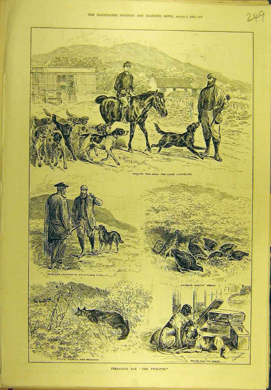 Original Old Antique Print 1889 Hunting Season Shooting Game-Birds Hounds 19th