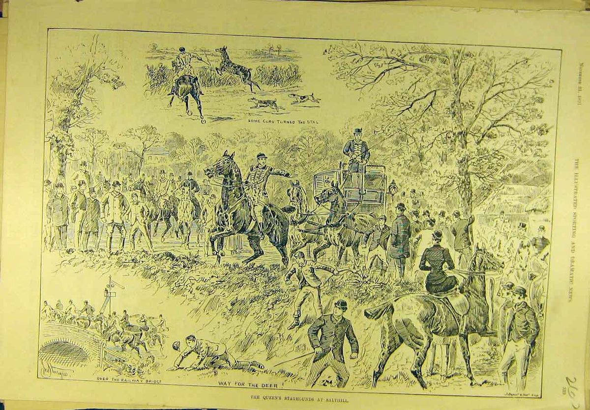 Original Old Antique Print 1891 Queen'S Staghounds Salthill Hunting Sport 19th