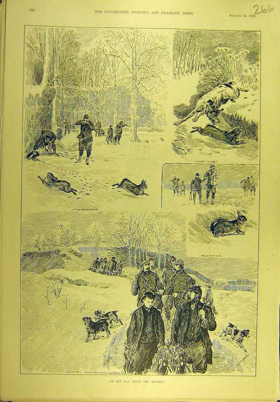 Original Old Antique Print 1892 Rabbit Shooting Hunting Hounds Sport Victorian