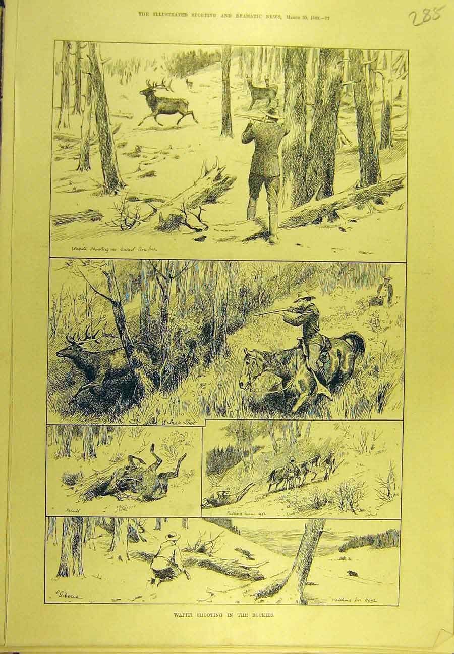 Original Old Antique Print 1889 Wapiti Shooting Rockies Canada-America Sport