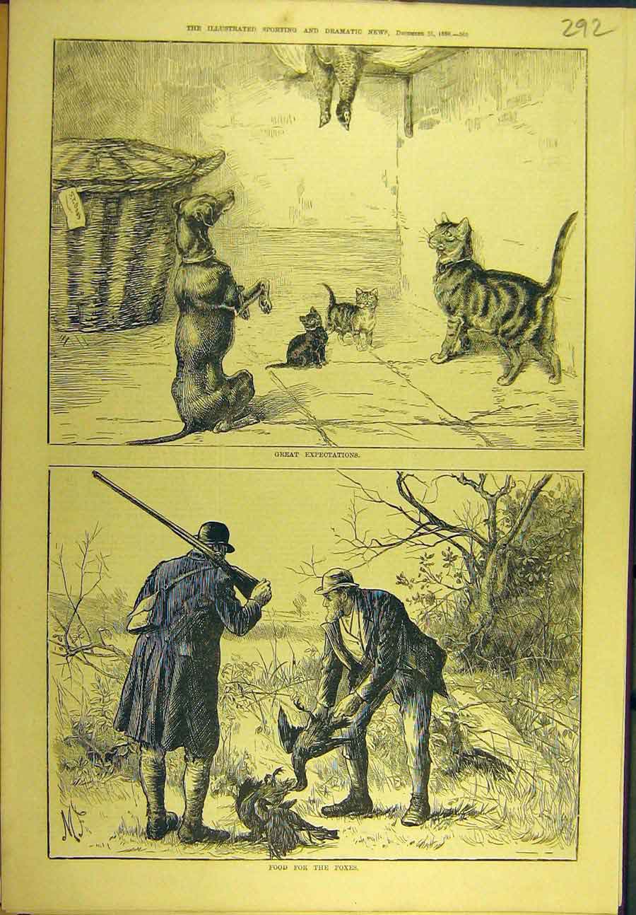 Original Old Antique Print 1880 Food Foxes Dog Cat Pheasant Game-Bird Sport 19th