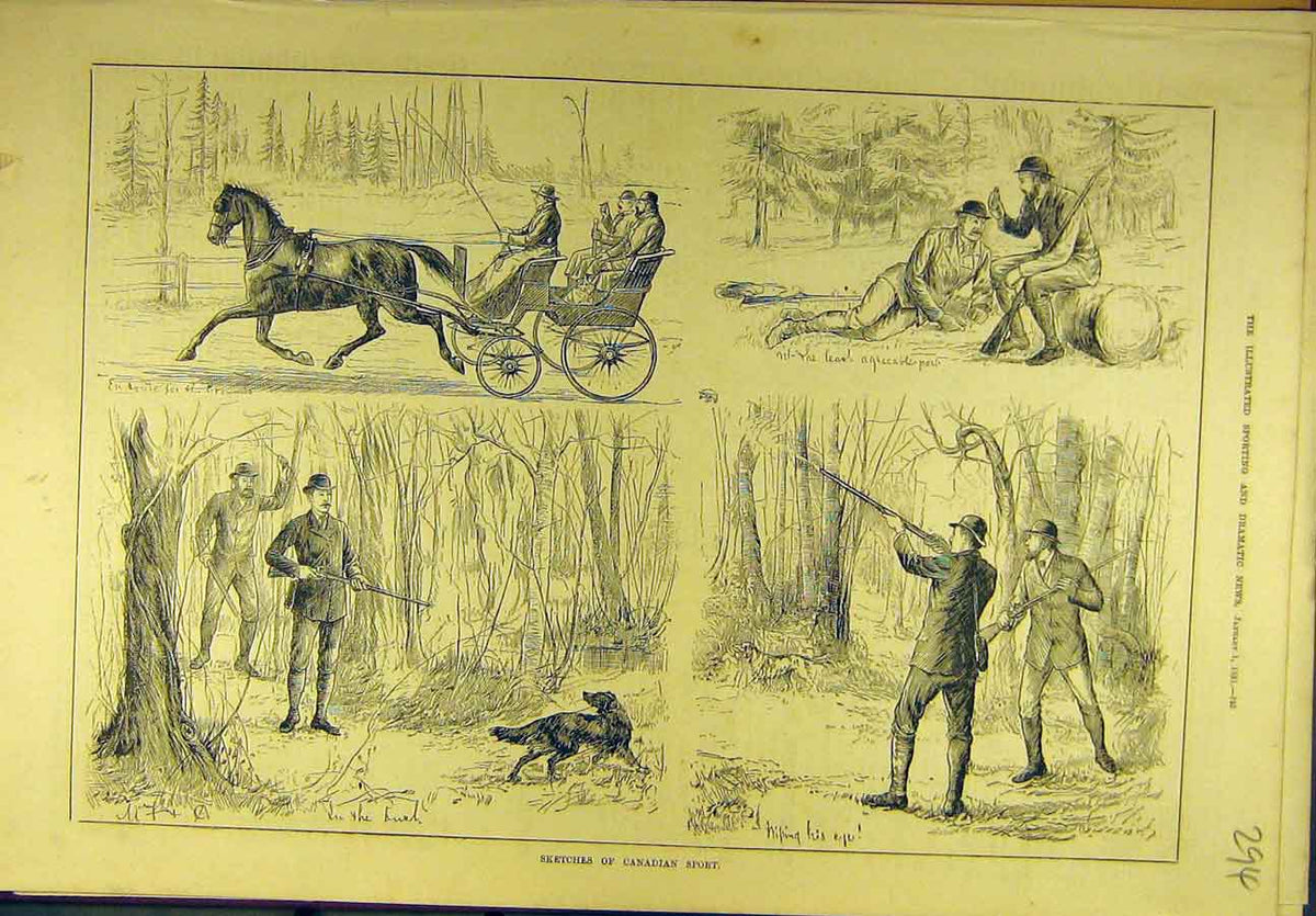 Original Old Antique Print 1881 Sketches Canadian Sport Shooting Gun-Dog 19th