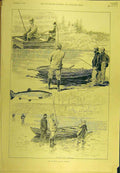 Original Old Antique Print 1981 Salmon Fishing End Season Boat Fishermen Sport
