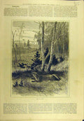 Original Old Antique Print 1882 Poacher Fox Game-Birds Sport 19th