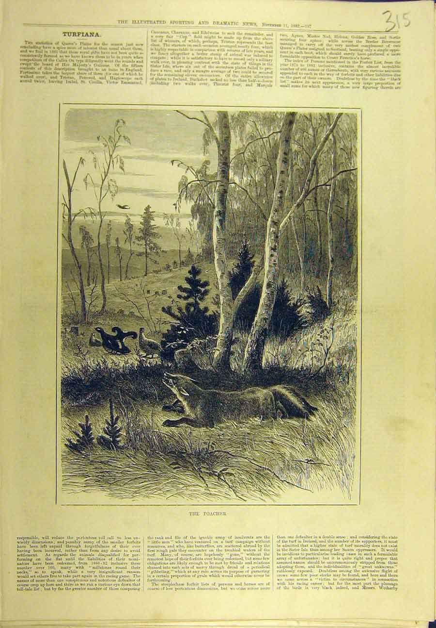 Original Old Antique Print 1882 Poacher Fox Game-Birds Sport 19th